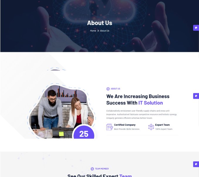 web development services delhi