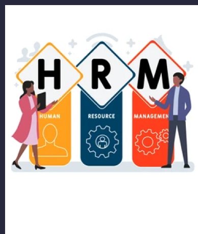 human resource management system software